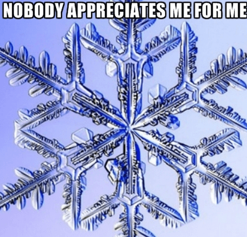 special snowflake saying no one appreciates me for me