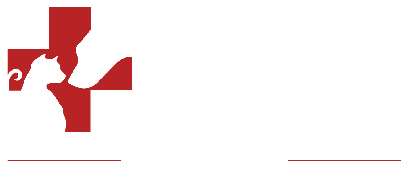 Pet Assure